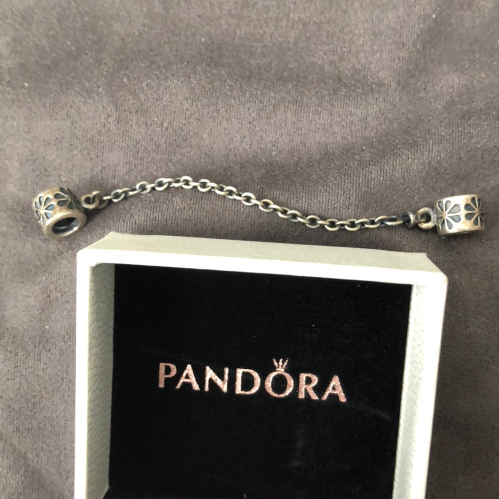 Pandora Safety Chain